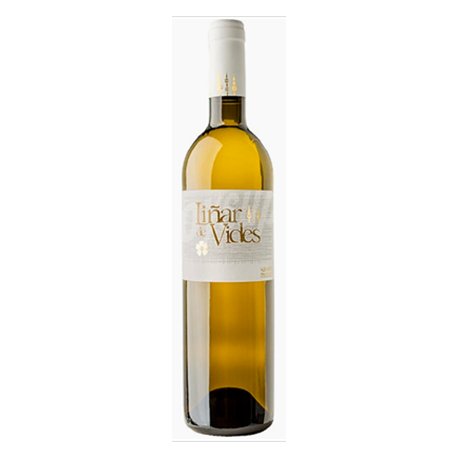 GEA ALBARIÑO